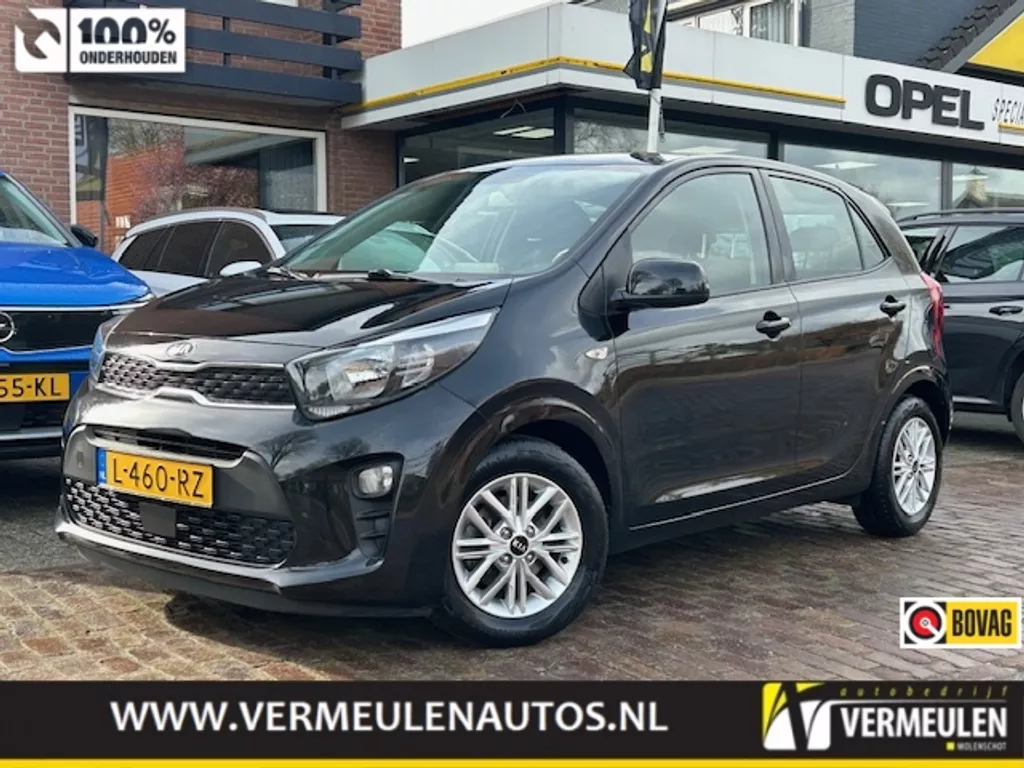 KIA Picanto 1.0 MPi 67PK DynamicLine + 14"/ Airco/ Cruise/ CarPlay/ Camera/ NL auto